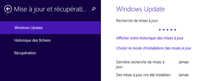 Windows 8.1: Problème Windows Updata